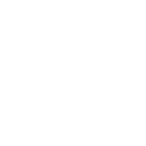 004 vertebra
